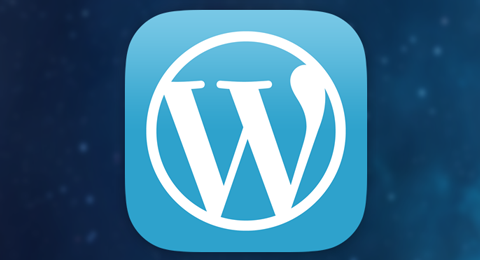 Wordpress Agentur